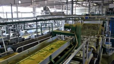 sebze işleme fabrikası