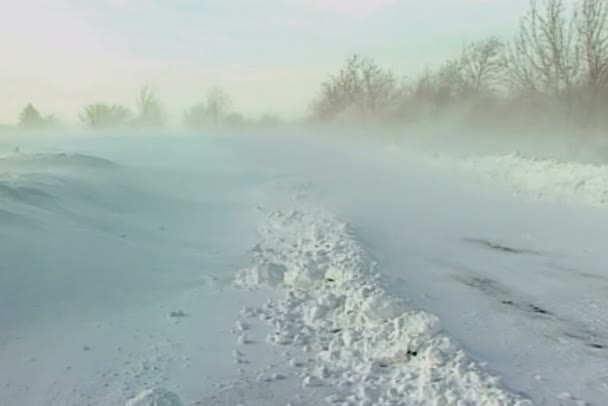 Låg drivande snö — Stockvideo