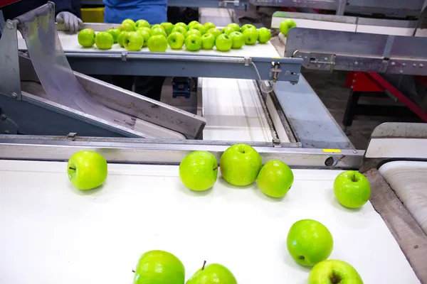 Pommes dans une usine d'emballage Photos De Stock Libres De Droits