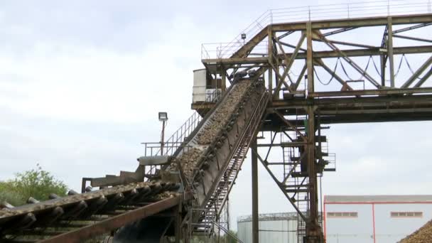 Transportbånd Sukkerroer Maskiner Apparater Til Transport Oplagring Sukkerroer Som Forberedelse – Stock-video