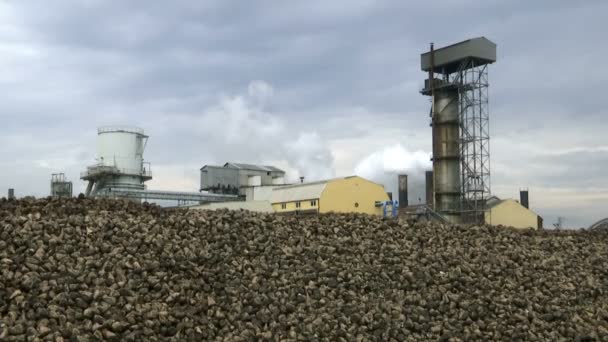 Fabbrica Zucchero Nel Processo Lavoro Esterno Industriale Della Raffineria Zucchero — Video Stock