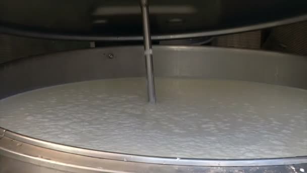 Lait Vache Frais Dans Réservoir Réservoir Refroidissement Lait Pour Lait — Video