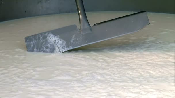 生奶牛牛奶在不锈钢罐中 运行中的新鲜奶牛牛奶的牛奶冷却罐 — 图库视频影像