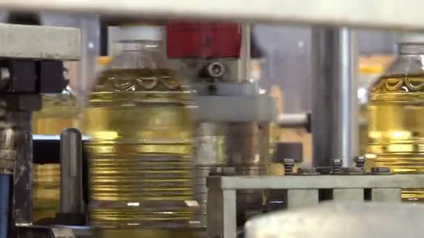 Filling Bottles Sunflower Oil Factory Production Refined Sunflower Oil Production — Stockvideo