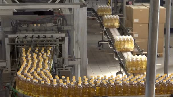 Refined Sunflower Oil Production Line Factory Production Refined Sunflower Oil — Vídeos de Stock