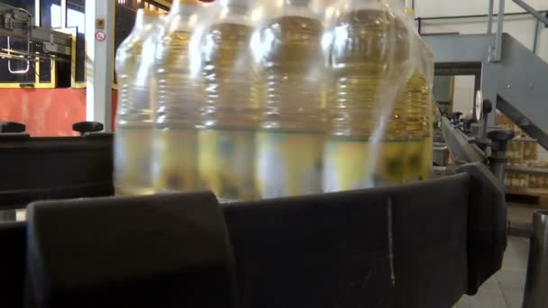 Production Packaging Sunflower Oil Factory Production Refined Sunflower Oil Production — Vídeo de Stock