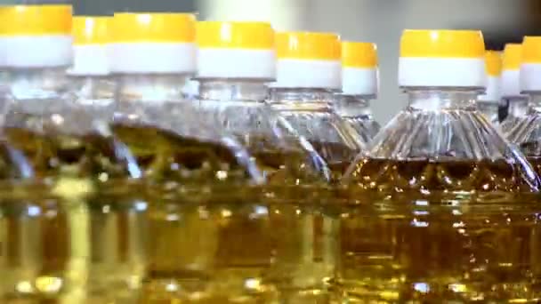 Sunflower Oil Bottling Plant Factory Production Refined Sunflower Oil Production — Video Stock