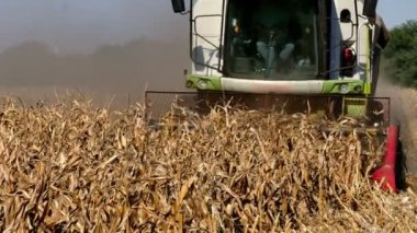 Modern mısır hasadı; modern tarım makineleriyle mısır hasat etmek