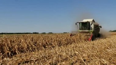 Tarım İşleri; Mısırı modern tarım makineleriyle hasat etmek