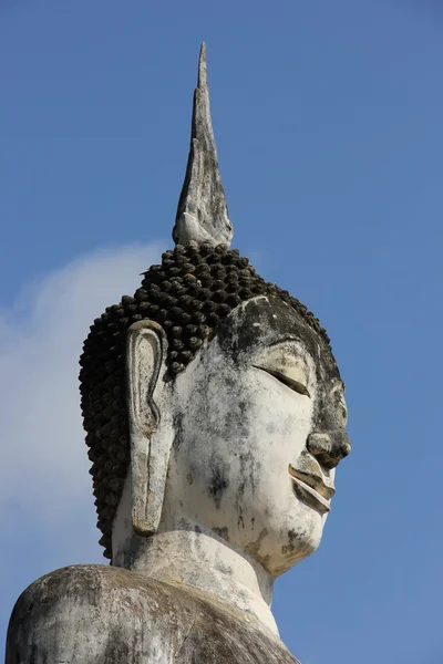 Buddha's Head — Stock Photo, Image