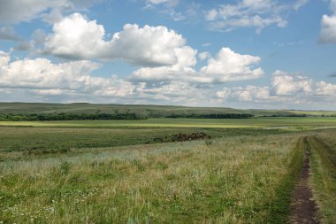 Kalın bulutlu yaz manzarası