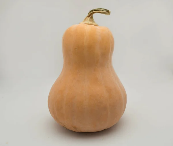 Laranja Madura Abóbora Vegetal Para Halloween — Fotografia de Stock