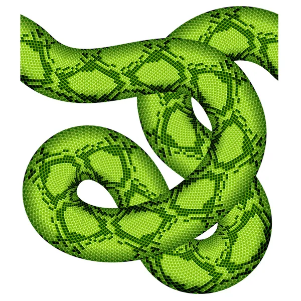 Grønn slange sømløs – stockvektor