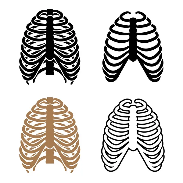 Menselijke ribbenkast symbolen — Stockvector