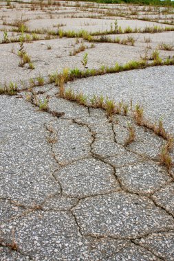 terk edilmiş çok çatlak ve yabani ot dolgu asfalt