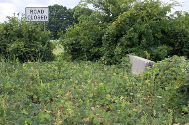 Pavement Overgrown With Kudzu Points to Road Closed Sign clipart