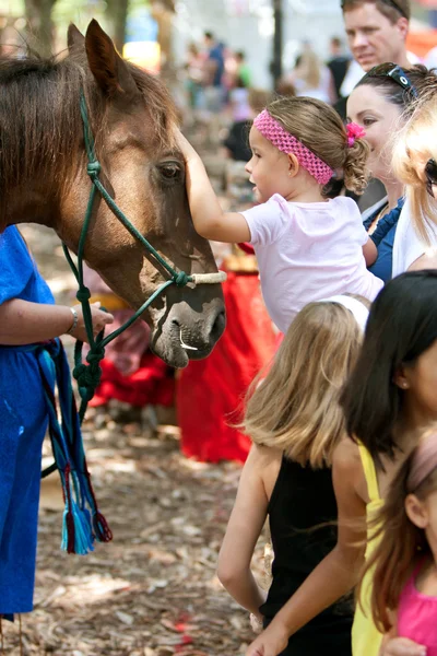 Child Pets Horse At Wildlife Festival — Stock Photo, Image