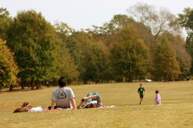 Genç çift battaniye Park'ta dinlenin