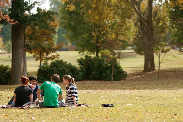 Les jeunes adultes s'assoient sur la couverture et parlent dans le parc — Photo