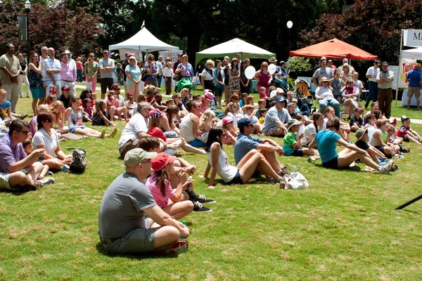 Spectateurs assis sur Herbe Watch Performance Au Festival — Photo