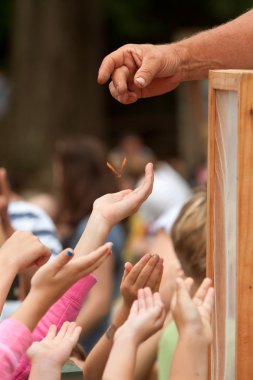 bir kelebek Festivali'nde serbest bırakılması için genç eller ulaşmak