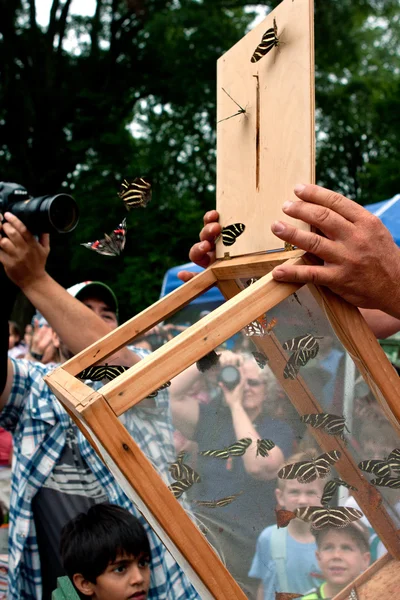 Spettatori Guarda il rilascio di farfalle al Festival estivo — Foto Stock