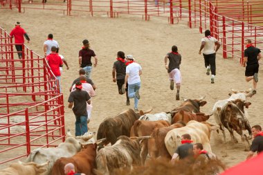 Young Men Run Ahead Of Stampeding Bulls At Georgia Event clipart