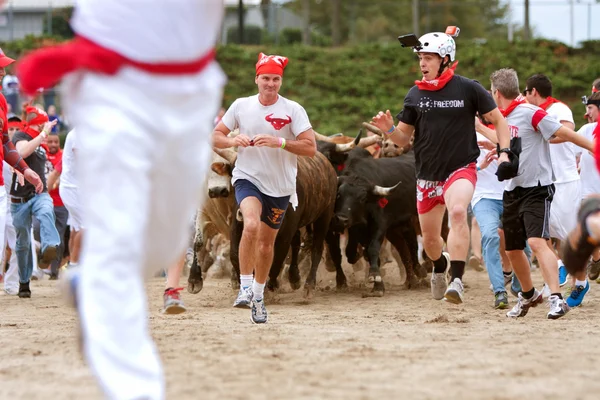 Homens correm à frente de Stampeding touros no evento único Georgia — Fotografia de Stock