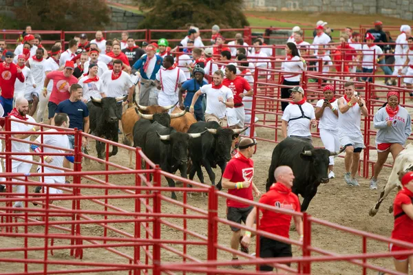 Hundreds Run With The Bulls At Georgia Event — Stock Photo, Image