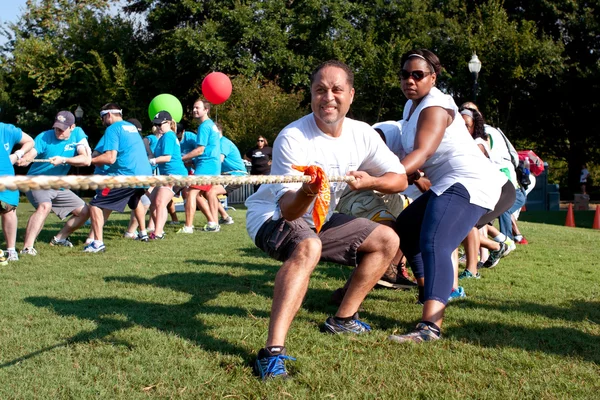 Two Teams Pull Ropes In Adult Tug-Of-War Fundraiser — Stock Photo, Image