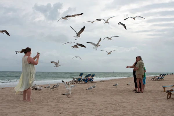 Seagulls Swarm Around Family Taking Photo On Beach — Stock Photo, Image