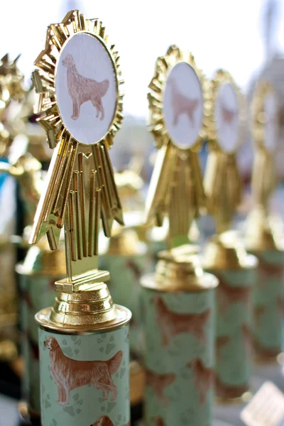 Canine Themed Trophies Sit On Display At Dog Festival — Stock Photo, Image