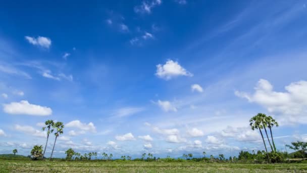 Zeitraffer-Wolkenbewegung im Wind — Stockvideo