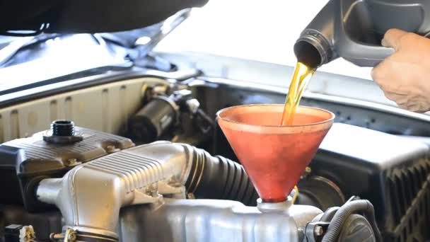 Rellenar aceite lubricante en el coche del motor — Vídeo de stock