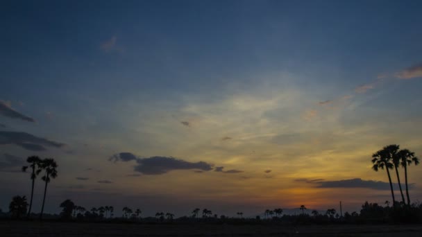 Time lapse beautiful sunset twilight night sky and startrails — Stock Video