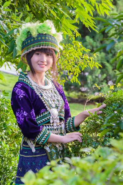 Lindo asiático joven chica en hermosa colina tribu (hmong) traje de norte thailand Fotos De Stock