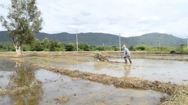 Çiftçi farm Tayland pirinç fabrikası için çalışan traktör kullanma