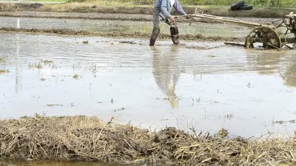 Rolnik za pomocą ciągnika pracujących w gospodarstwie roślina ryż z Tajlandii — Wideo stockowe