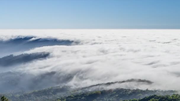 Временами над долиной течет прекрасный туман. — стоковое видео