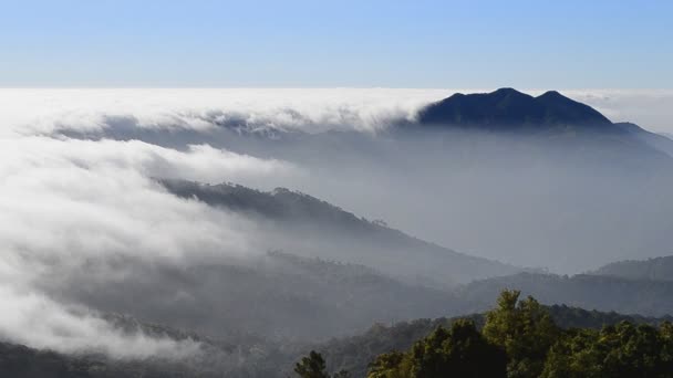 Mist flowing on valley of inthanon national park chiang mai, thailand — Stock Video