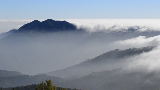 Туман течет по долине национального парка Чианг Май, Таиланд — стоковое видео