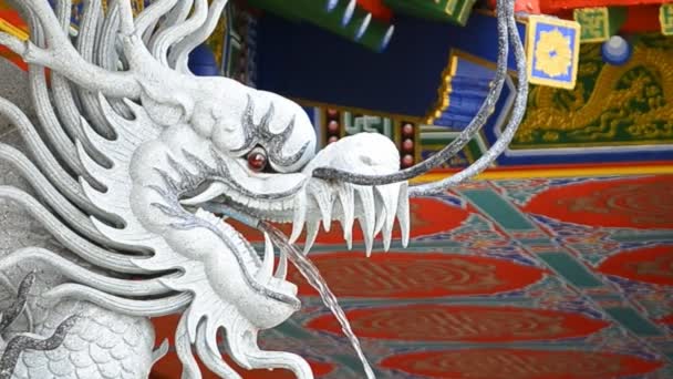Estatua del dragón rocía agua en templo chino — Vídeos de Stock
