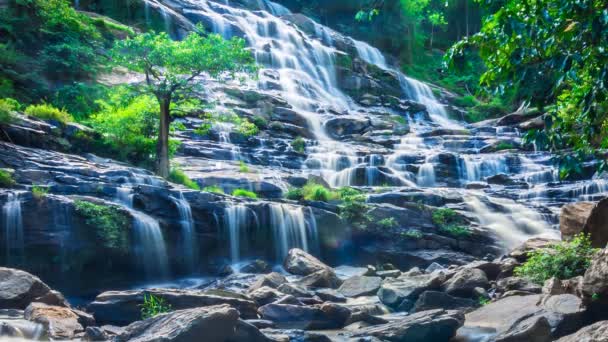 MAEYA Waterfall Famous Cascade Of Chiangmai, Thailand (time lapse loop) — Stock Video