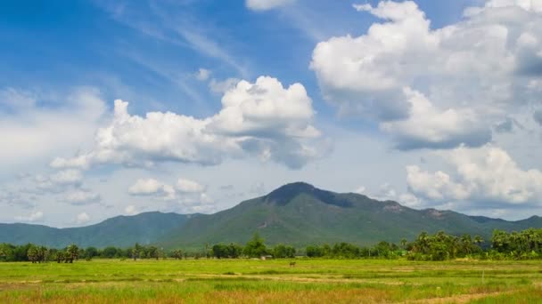 Čas zanikla krásné přírodní krajiny a cloud hnutí na obloze — Stock video