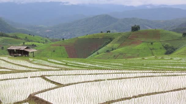 Hodowli ryżu na wzgórzu i stare chaty, chiang mai, Tajlandia (pan ręki strzał) — Wideo stockowe