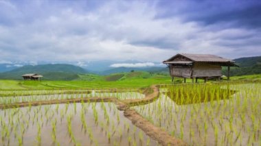 zaman sukut Teras pirinç çiftlik ve Nur clouds Tayland yüzer