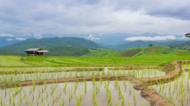 zaman sukut Teras pirinç çiftlik ve Nur clouds Tayland yüzer