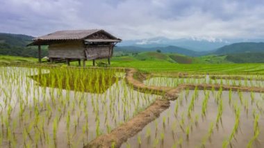 zaman sukut Teras pirinç çiftlik ve Nur clouds Tayland yüzer