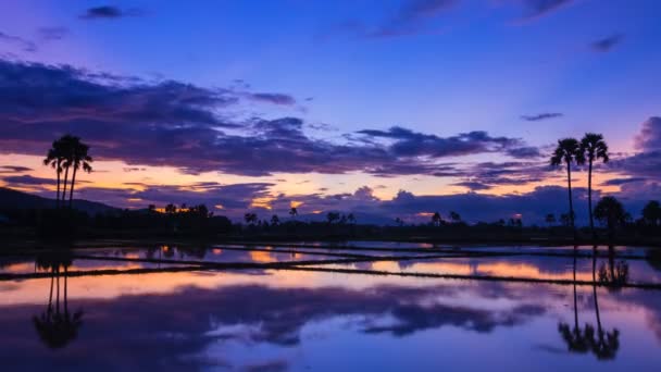 Time lapse beau lever de soleil et réflexion dans l'étang — Video