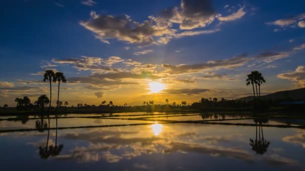 Time lapse hermoso atardecer y reflexión en el estanque — Vídeos de Stock